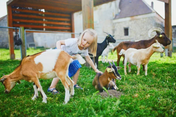 Adorable Niñita Jugando Con Cabras Granja Niña Familiarizándose Con Los —  Fotos de Stock