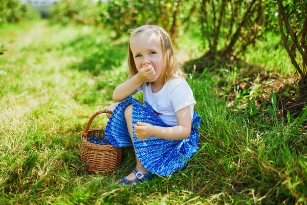 Menina Pré Escolar Adorável Colhendo Mirtilos Orgânicos Frescos Fazenda Delicioso — Fotografia de Stock