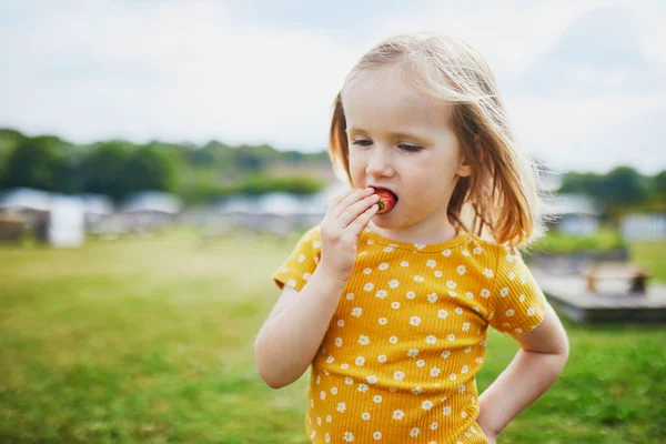 Urocza Przedszkolanka Jedząca Truskawki Letni Dzień Aktywności Letnie Świeżym Powietrzu — Zdjęcie stockowe