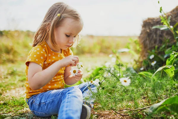 Adorable Preschooler Girl Amidst Green Grass Beauitiful Daisies Summer Day — Stock Photo, Image