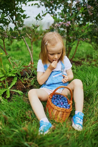 Adorable Niña Preescolar Recogiendo Arándanos Orgánicos Frescos Granja Delicioso Bocadillo —  Fotos de Stock