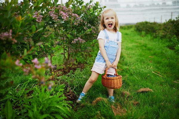 Adorable Preschooler Girl Picking Fresh Organic Blueberries Farm Delicious Healthy — Stock Photo, Image