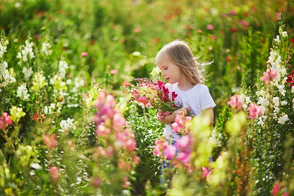 Adorable Girl Picking Beautiful Antirrhinum Flowers Farm Outdoor Summer Activities Stock Photo