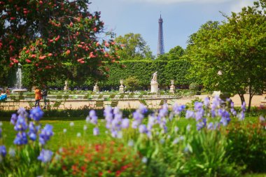 Tuileries Bahçesi, Paris 'te güzel bir bahar günü. Fransa 'da bahar mevsimi