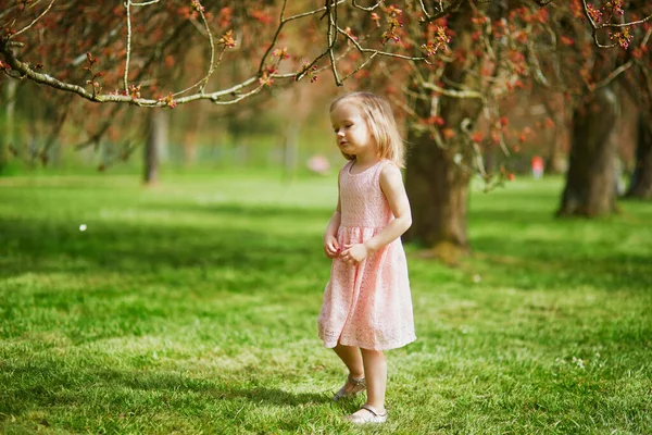 Очаровательная Трехлетняя Девочка Розовом Платье Наслаждается Солнечным Весенним Днем Парке — стоковое фото