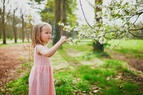 Adorável Menina Três Anos Vestido Rosa Desfrutando Dia Primavera Ensolarado — Fotografia de Stock