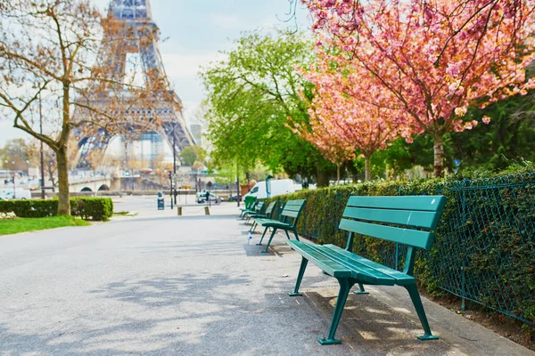 Scenic View Eiffel Tower Cherry Blossom Trees Full Bloom Paris — Stock Photo, Image