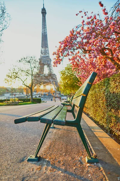 Widok Wieżę Eiffla Kwitnącymi Wiśniami Paryżu Francja — Zdjęcie stockowe