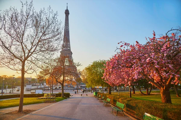 Szcenírozott Kilátás Eiffel Toronyra Cseresznyevirágzással Teli Fákkal Párizsban Franciaországban — Stock Fotó