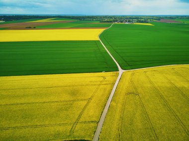 Fransa 'nın Ile-de-France kentindeki sarı kolza tohumu tarlalarının hava aracı görüntüsü