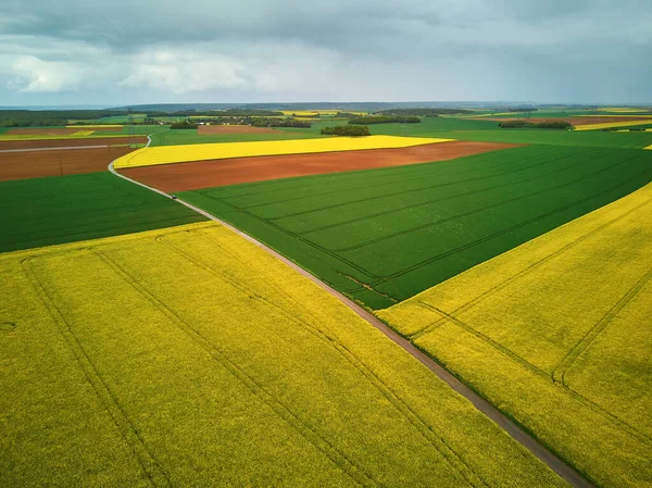 Szenische Drohnenaufnahme Von Gelben Rapsfeldern Auf Der Ile France Frankreich — Stockfoto