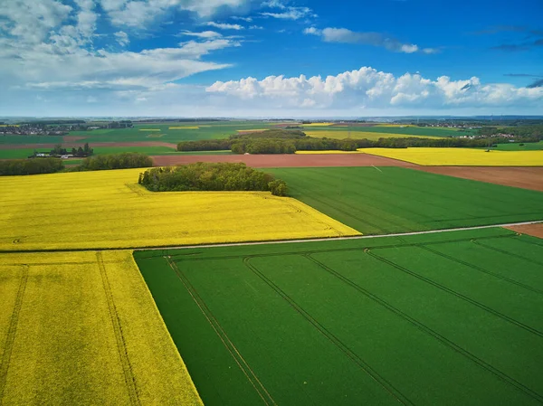 Vista Panorámica Los Campos Colza Amarilla Ile France Francia — Foto de Stock