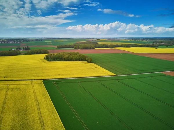 Scenic Aerial Drone View Yellow Rapeseed Fields Ile France France — Stock Photo, Image