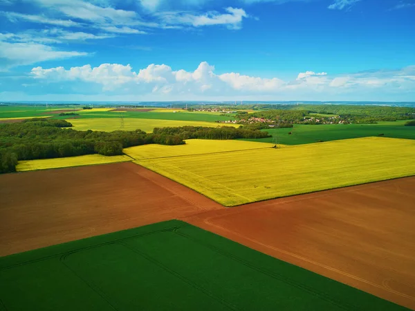 Scenic Aerial Drone View Yellow Rapeseed Fields Ile France France — Stock Photo, Image