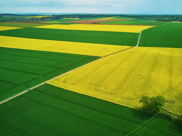 フランス フランスの黄色い菜種畑の風光明媚な空中ドローンビュー — ストック写真