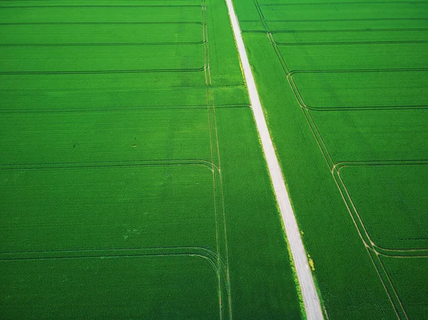 法国法兰西岛绿油菜地的场景无人驾驶飞机视图 — 图库照片