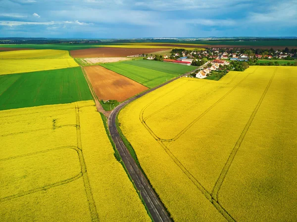 Vue Aérienne Panoramique Champs Colza Jaune Ile France France — Photo