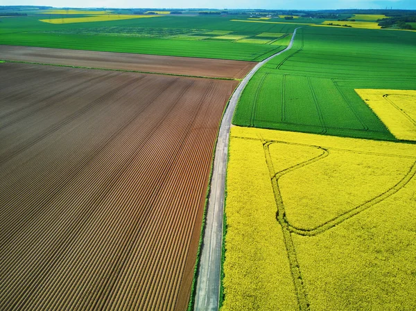 法国法兰西岛黄色菜籽田的场景无人驾驶飞机图像 — 图库照片