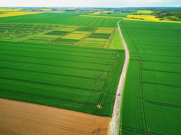 Vista Panorâmica Drones Aéreos Campos Verdes Amarelos Ile France França — Fotografia de Stock