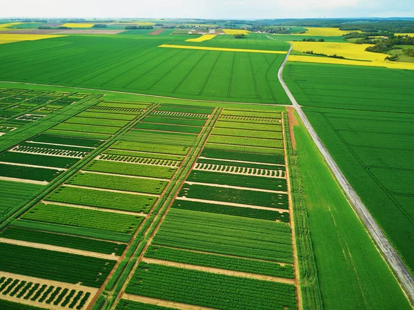 Scenic Aerial Drone View Green Yellow Fields Ile France France — Stock Photo, Image