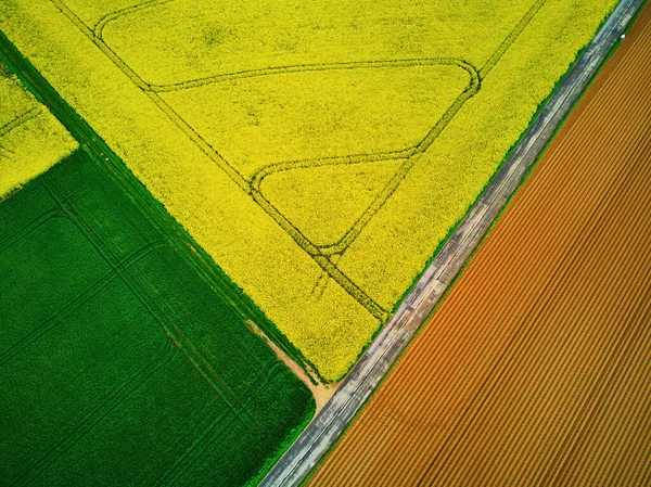 フランス フランスの黄色い菜種畑の風光明媚な空中ドローンビュー — ストック写真