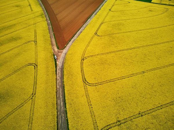 Vista Aérea Panorâmica Campos Colza Amarelos Ile France França — Fotografia de Stock