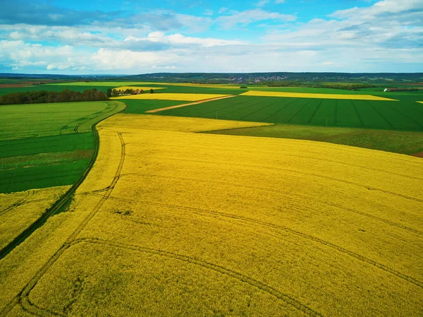 Szenische Drohnenaufnahme Von Gelben Rapsfeldern Auf Der Ile France Frankreich — Stockfoto