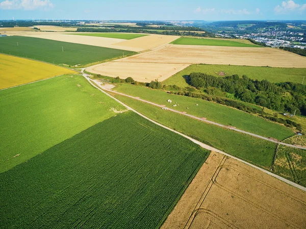 Landschaftliche Drohnenaufnahmen Von Grünen Und Gelben Feldern Der Normandie Frankreich — Stockfoto