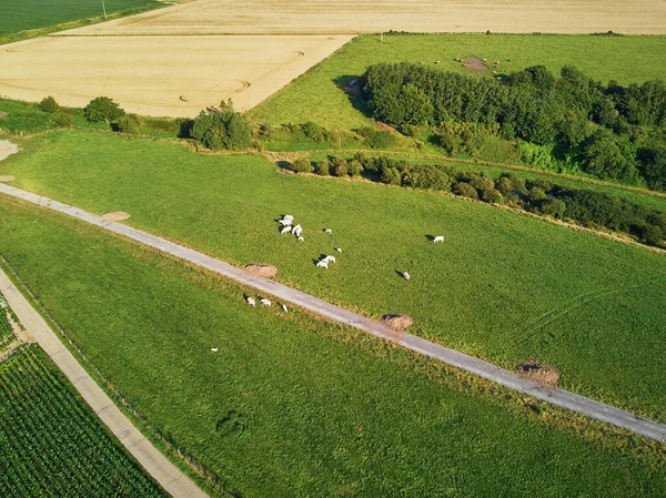 Vista Aérea Pastagens Terras Agrícolas Bretanha França Bela Paisagem Francesa — Fotografia de Stock