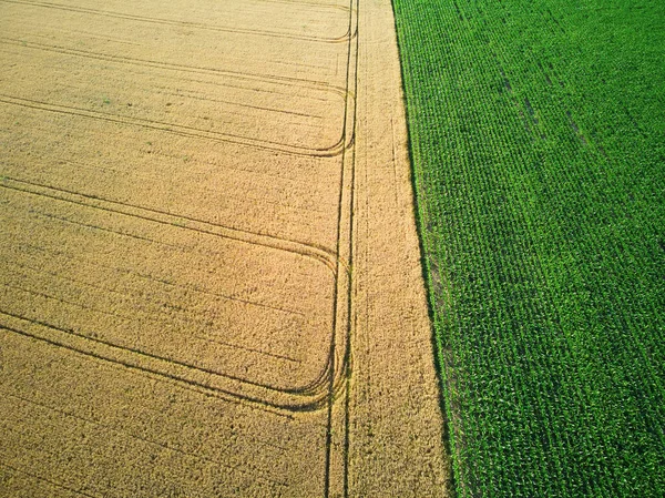 Vista Panorâmica Drones Aéreos Campos Verdes Amarelos Normandia França — Fotografia de Stock