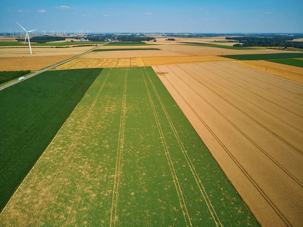 Vista Panorâmica Drones Aéreos Trubinas Eólicas Campos Verdes Amarelos Normandia — Fotografia de Stock