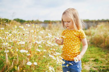 Yeşil çimlerin ve güzel papatyaların arasında bir yaz günü sevimli anaokulu kızı. Papatya saçlı küçük çocuk dışarıda eğleniyor. Doğayı keşfeden çocuk