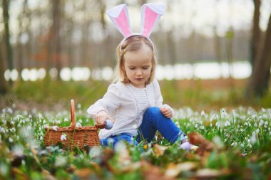 Tavşan kulaklı bir kız Paskalya 'da yumurta avı oynuyor. Bir sürü kartopu çiçeğiyle çimenlerde oturan ve renkli yumurtaları sepette toplayan bir çocuk. Paskalyayı dışarıda kutlayan küçük çocuk.