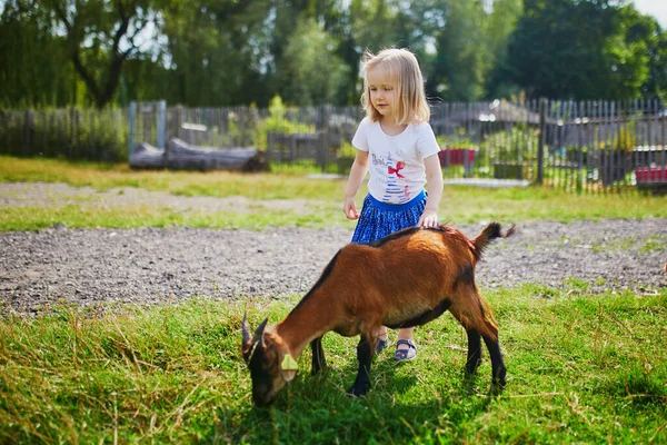 Menina Adorável Brincando Com Cabras Fazenda Criança Familiarizando Com Animais — Fotografia de Stock