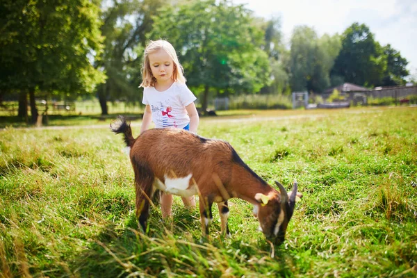 可爱的小女孩在农场里和山羊玩耍 孩子们熟悉动物 为幼儿耕作和园艺 为儿童举办的户外暑期活动 — 图库照片