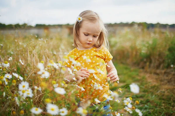 Adorable Preschooler Girl Amidst Green Grass Beauitiful Daisies Summer Day — Stock Photo, Image