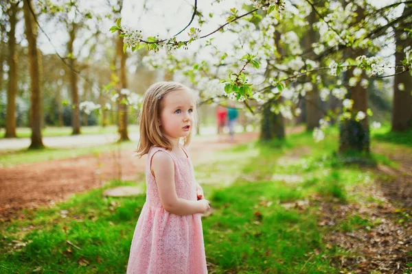 Rozkošná Tříletá Dívka Růžových Šatech Užívá Slunečného Jarního Dne Parku — Stock fotografie