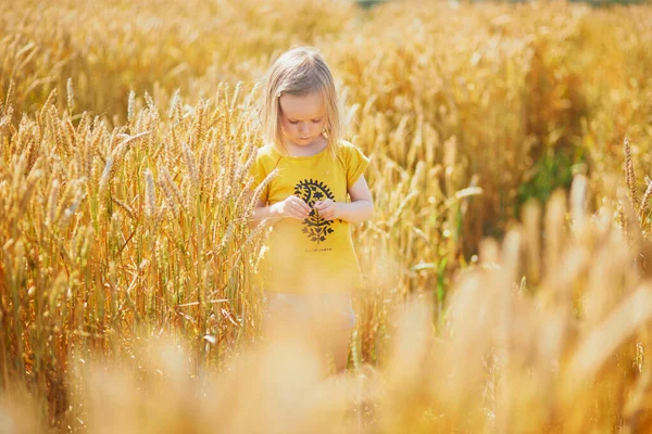 Чарівна Дівчинка Малятко Полі Золотої Пшениці Сонячний День Дитина Ходить — стокове фото