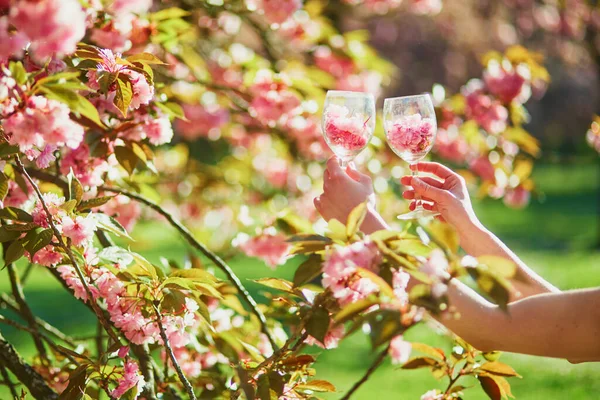 Mão Mulher Segurando Copo Vinho Cheio Pétalas Flor Cereja Rosa — Fotografia de Stock