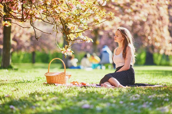 Beautiful Young Woman Having Picnic Sunny Spring Day Park Cherry — Stock Photo, Image