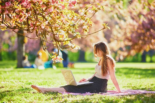 Menina Bonita Trabalhando Seu Laptop Parque Durante Temporada Flor Cerejeira — Fotografia de Stock