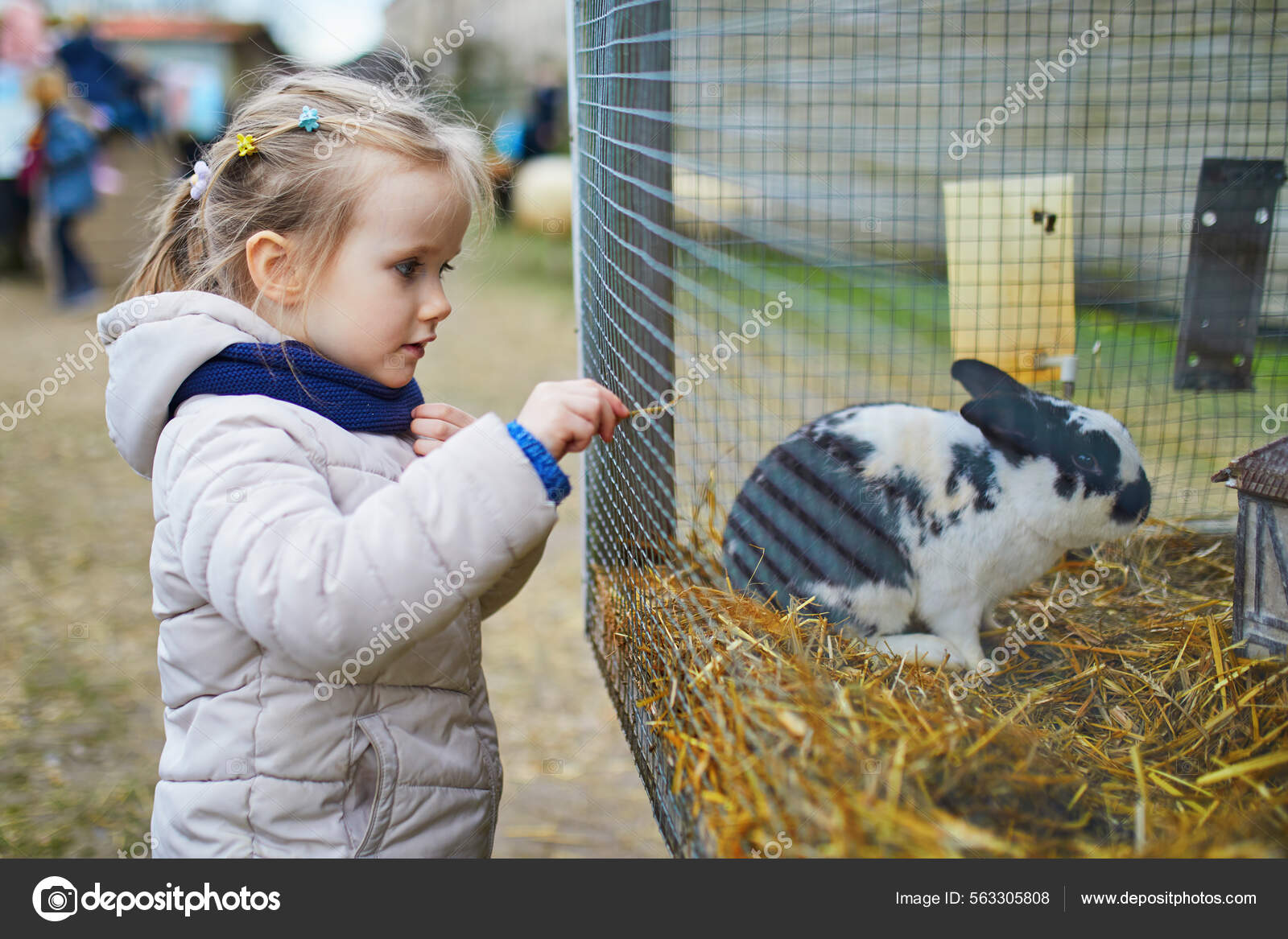 Adorable Little Girl Feeding Rabbit Farm Child Familiarizing