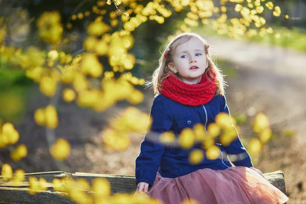 Menina Pré Escolar Adorável Floresta Dia Primavera Criança Olhando Para — Fotografia de Stock