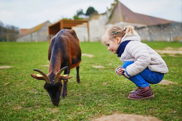 Çiftlikte keçilerle oynayan sevimli küçük kız. Çocuk kendini hayvanlara tanıtıyor. Küçük çocuklar için tarım ve bahçe işleri. Çocuklar için açık hava aktiviteleri