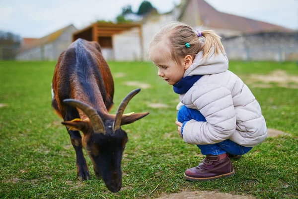 Adorable Little Girl Playing Goats Farm Child Familiarizing Herself Animals — Stock Photo, Image