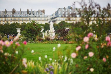 Tuileries Bahçesi, Paris 'te güzel bir sonbahar günü. Fransa 'da sonbahar sezonu