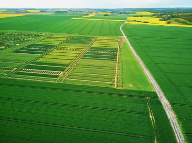Fransa 'nın Ile-de-France kentindeki yeşil ve sarı tarlaların hava aracı görüntüsü