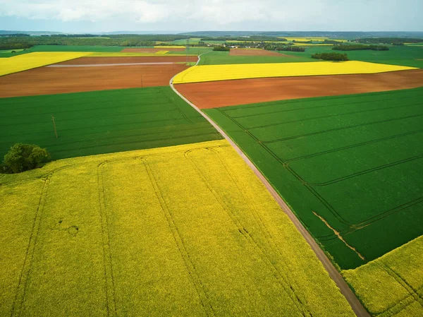 Scenisk Antenn Drönare Syn Gula Rapsfält Ile France Frankrike — Stockfoto