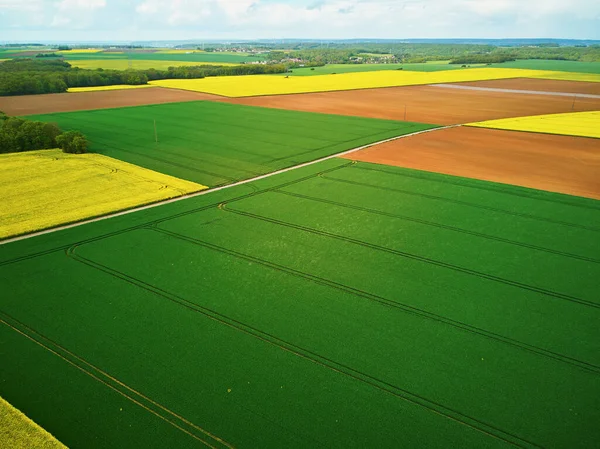 Fransa 'nın Ile-de-France kentindeki sarı kolza tohumu tarlalarının hava aracı görüntüsü