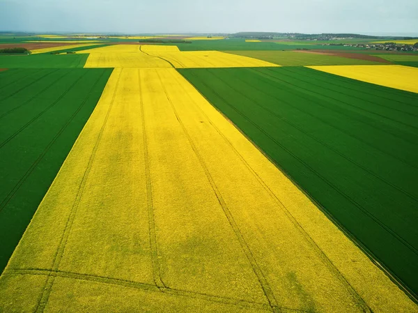 Fransa 'nın Ile-de-France kentindeki sarı kolza tohumu tarlalarının hava aracı görüntüsü
